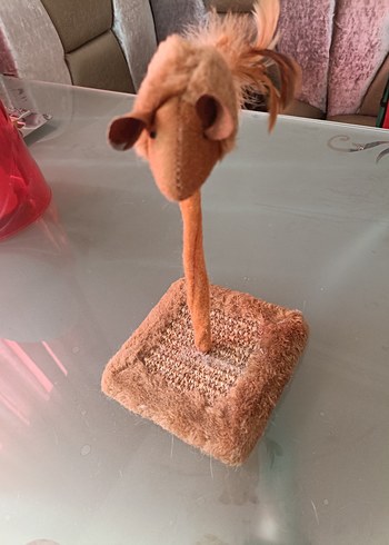 Gardrops ilanı