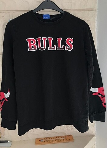 Bulls sweatshirt 