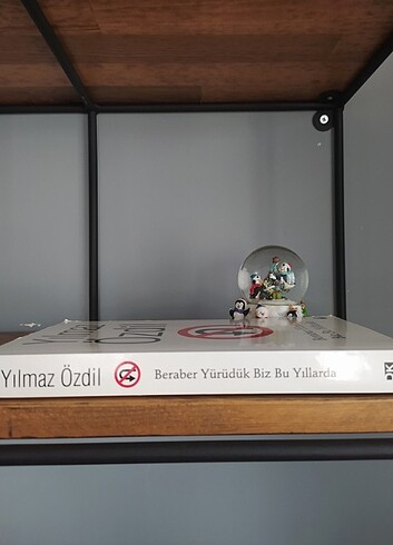 Yılmaz Özdil, Beraber Yürüdük Biz Bu Yıllarda 