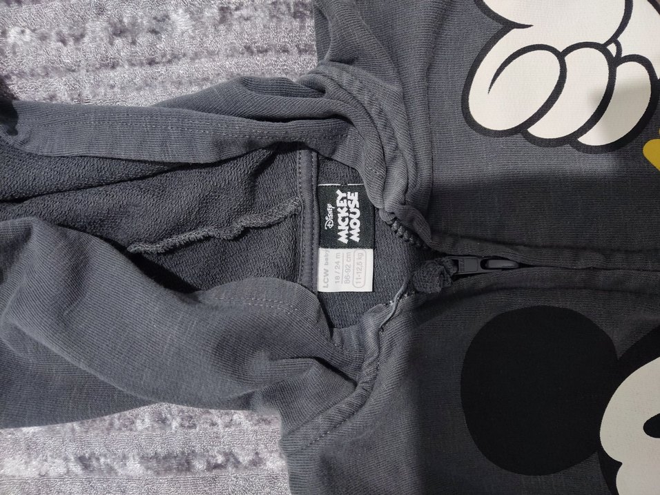 Kapüşonlu Fermuarlı Erkek Çocuk Sweatshirt - Görsel 2