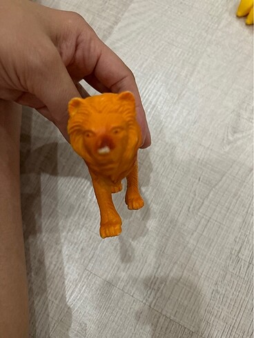 Beden Renk Aslan