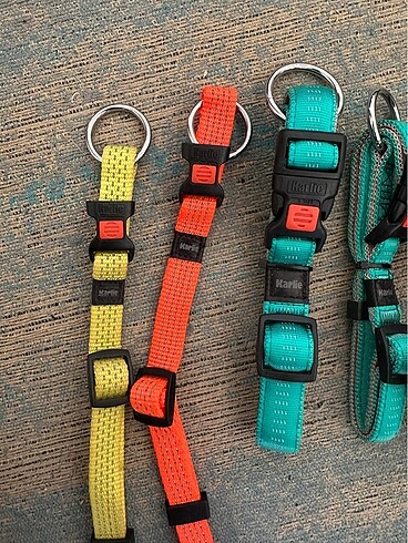 Köpek Neon Boyun Tasmaları