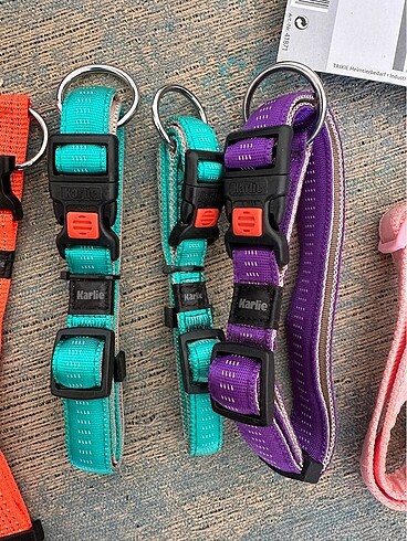 Beden Köpek Neon Boyun Tasmaları