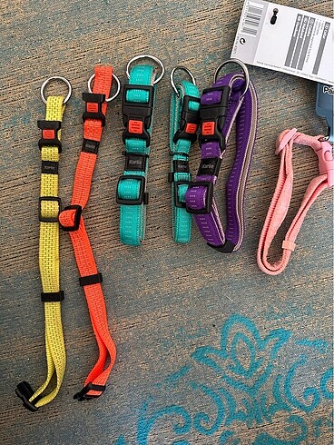 Köpek Neon Boyun Tasmaları