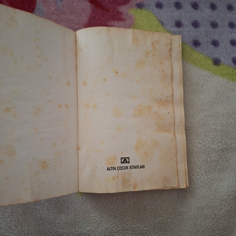 Midos Kartalı'nın Gözleri - Gülten Dayıoğlu - Görsel 2