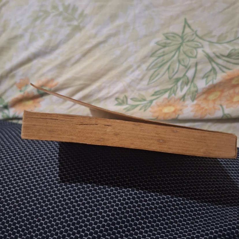 Thais - Anatole France Tarih Kitabı - Görsel 2