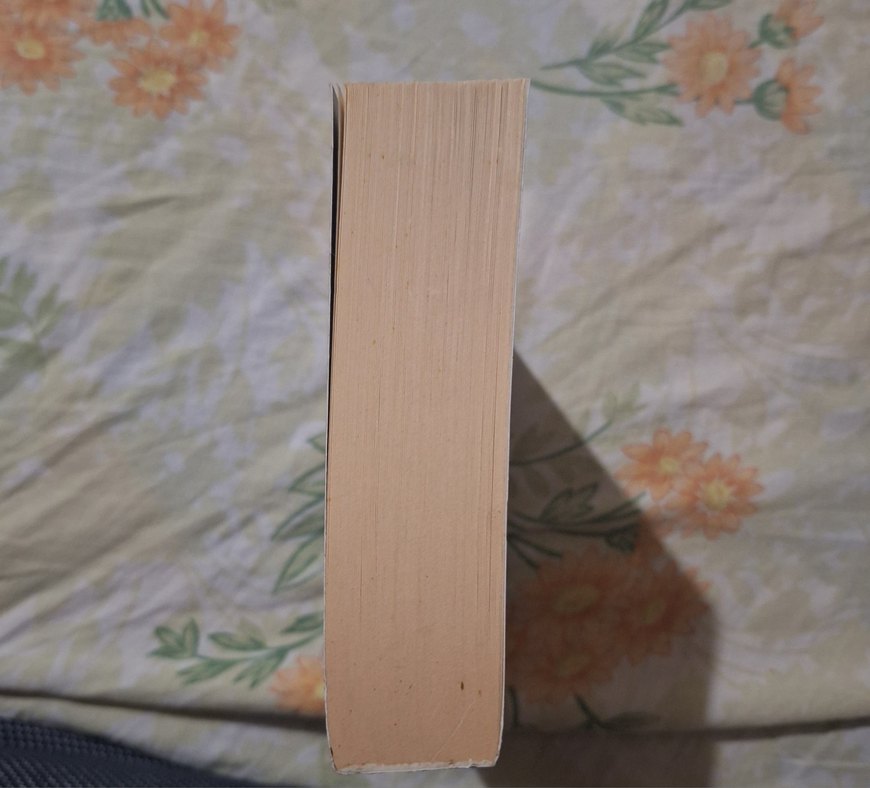 Jaguar Taşları - 1 Orta Dünya Kitabı - Görsel 2