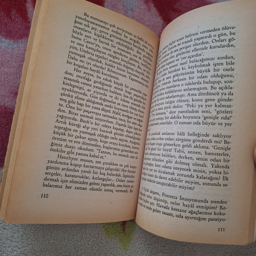 Yüreğinin Götürdüğü Yere Git - Susanna Tamaro - Görsel 2