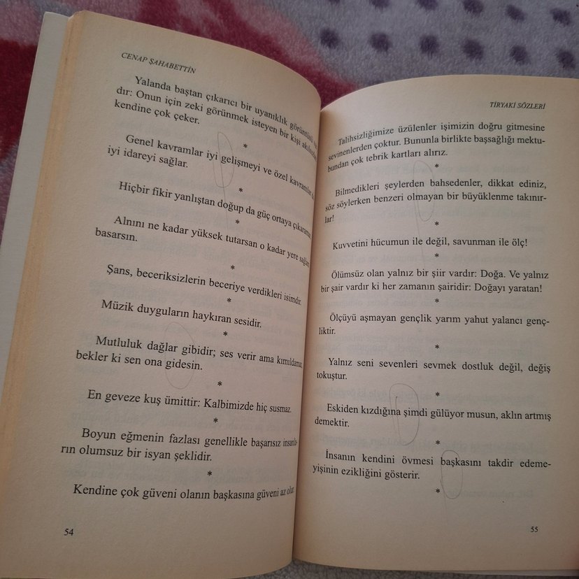 Cenap Şahabettin - Tiryaki Sözleri Kitabı - Görsel 2