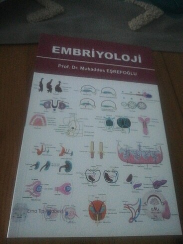 embriyoloji 