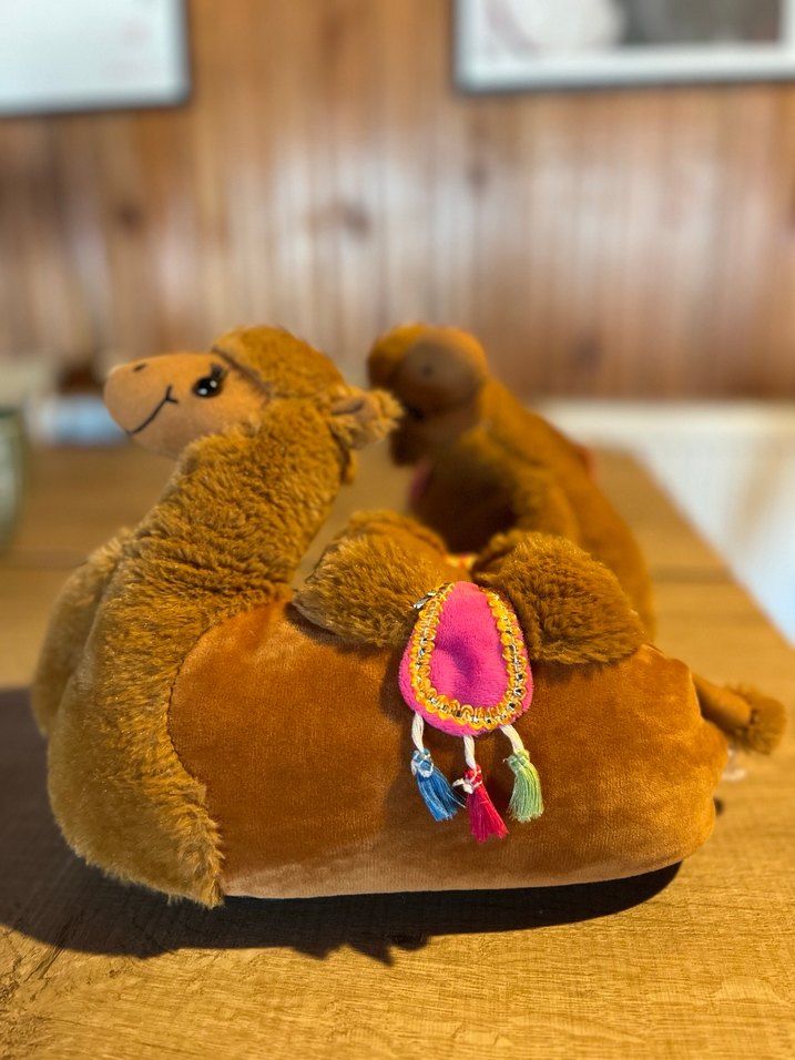 Camel panduf twigy - Görsel 2