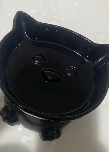  Kedi Kabı