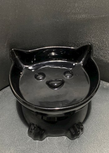Kedi Kabı