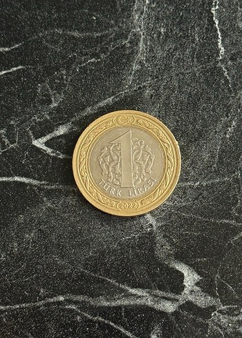 100. Yıla özel medeni para - Görsel 2