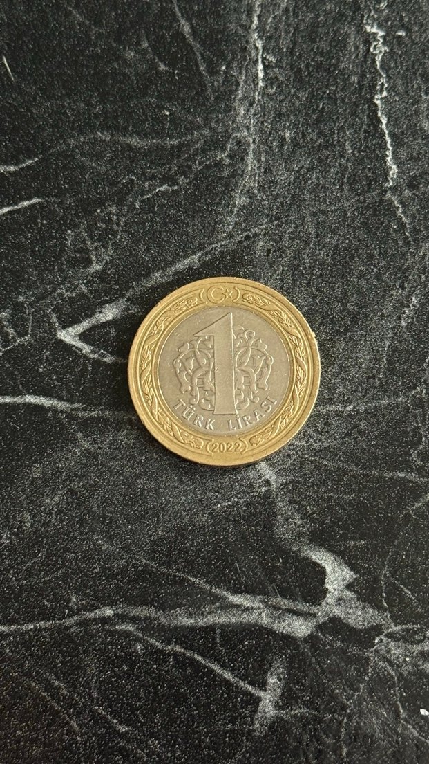 100. Yıla özel medeni para - Görsel 2