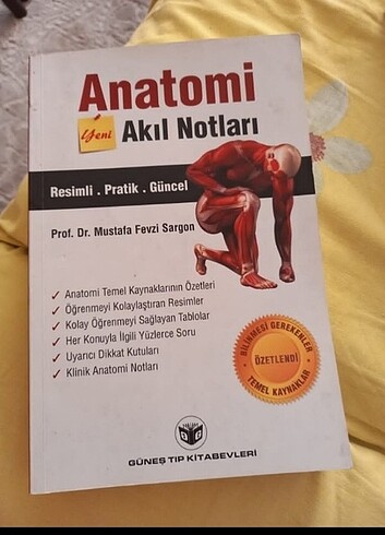 Anatomi Akıl Notları 