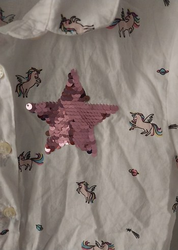 uzun kollu pul işlemeli gömlek - Görsel 3