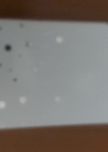 Altın Renkli Zincir Detaylı Ayıcık Kolye Lovisa - Görsel 8