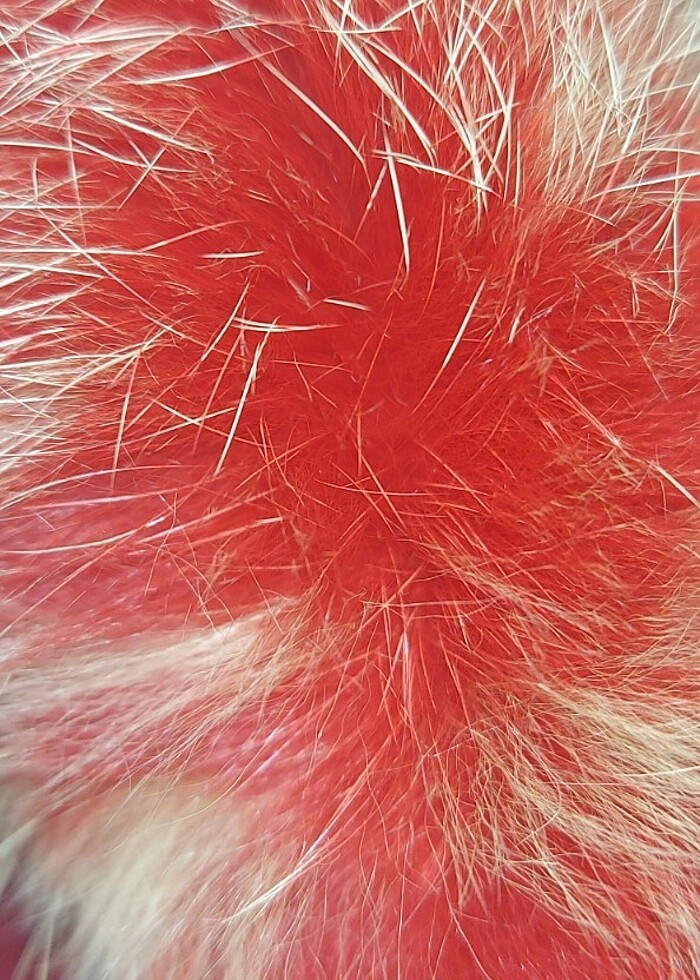 Deri eldiven - Görsel 4