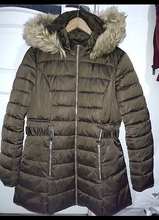 Koton mont