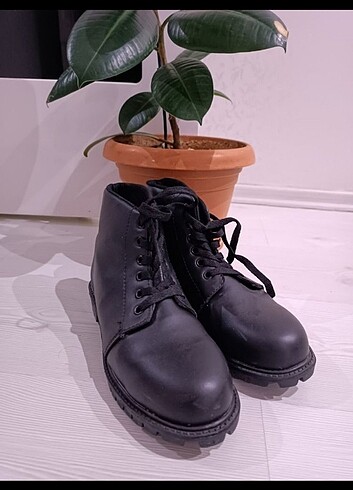 LC Waikiki Bot #bot