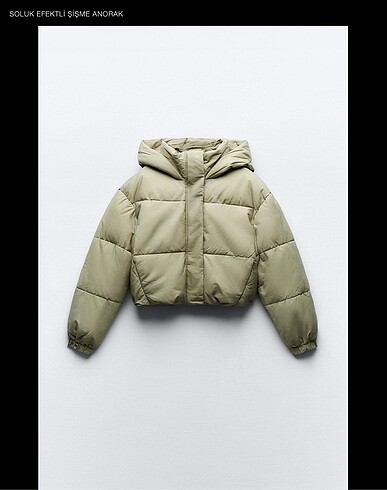 Zara ZARA MONT