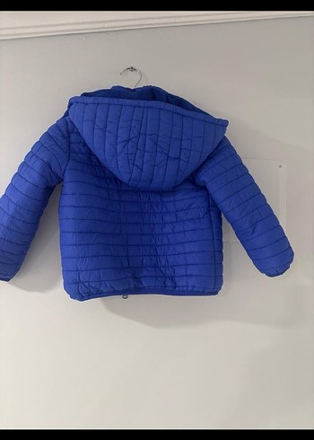 Erkek Çocuk Mavi Düğmeli Mont - Görsel 2