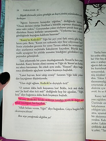 Beden Renk MARAL ATMACA YARALASAR 2