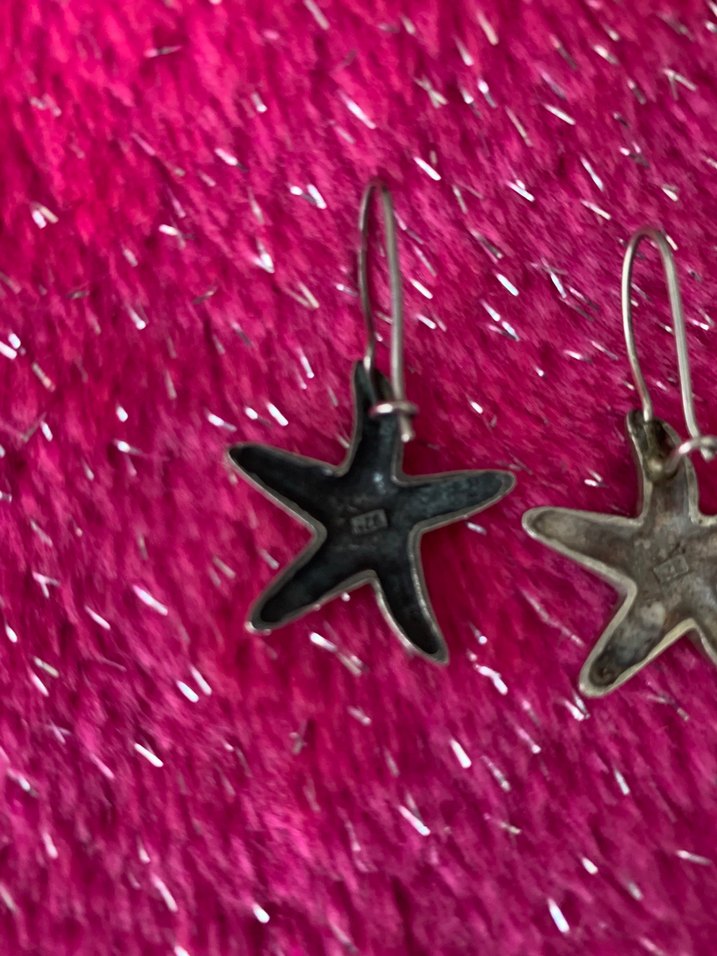 Gümüş Deniz Yıldızı Küpe - Görsel 4