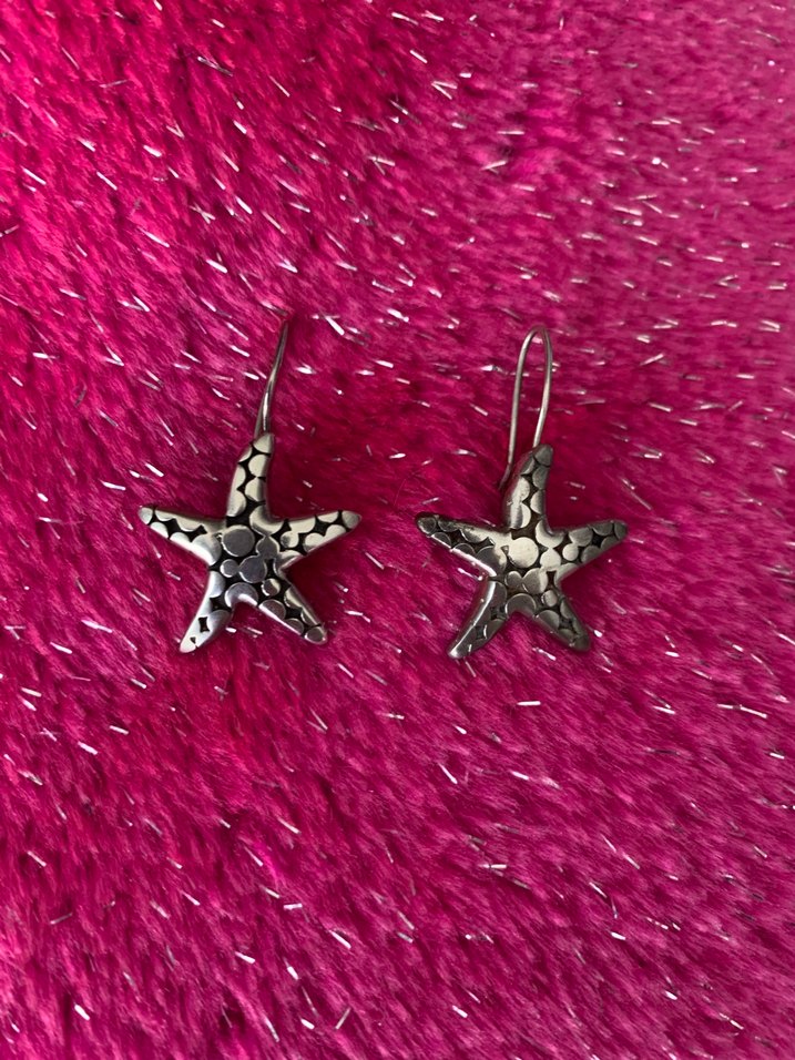 Gümüş Deniz Yıldızı Küpe - Görsel 2