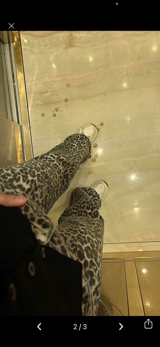 Leopar Desenli Siyah  Kadın Pantolon - Görsel 3