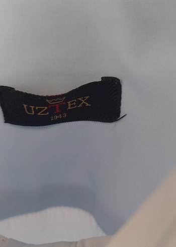 xxl Beden mavi Renk Mavi Uzun Kollu Klasik Kadın Gömlek