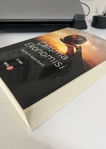 Çalışma Ekonomisi - Prof. Dr. M. Kemal Biçerli - Görsel 3