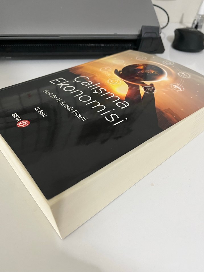 Çalışma Ekonomisi - Prof. Dr. M. Kemal Biçerli - Görsel 3