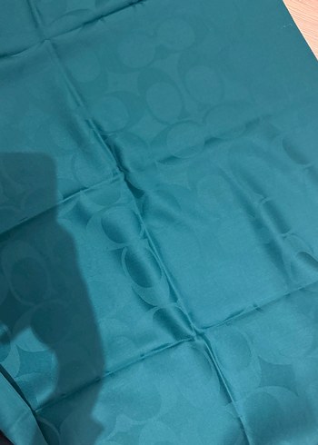 Coach Şal - Görsel 3