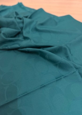 Coach Şal - Görsel 2