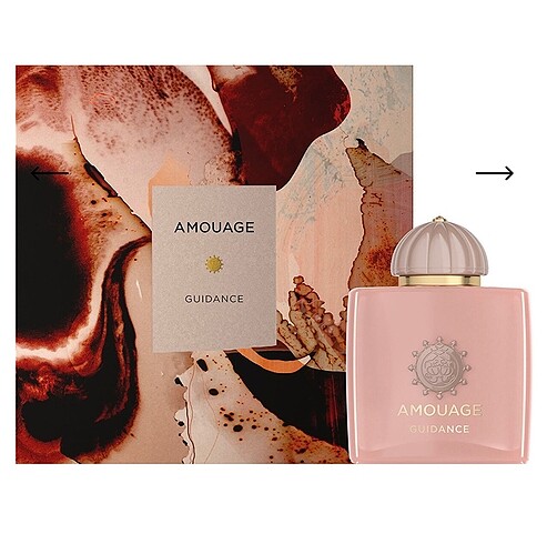 Amouage guidance