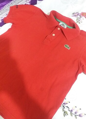 Lacoste 12 yaş tişört