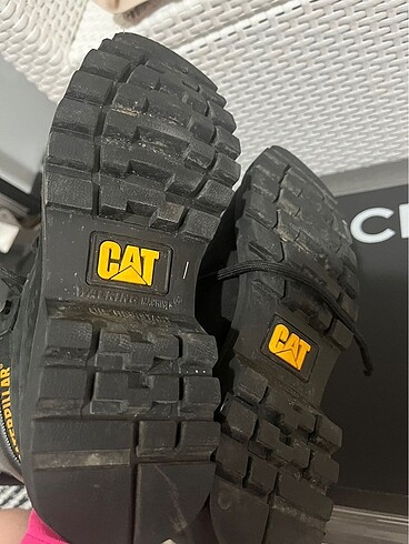 38 Beden Cat Bot