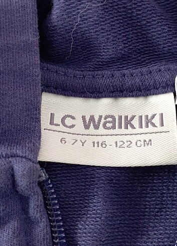 LC Waikiki Kız çocuk sweatshirt Elsa 