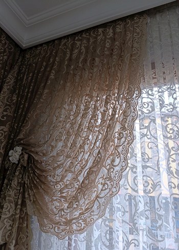 Tül kanat - Görsel 4