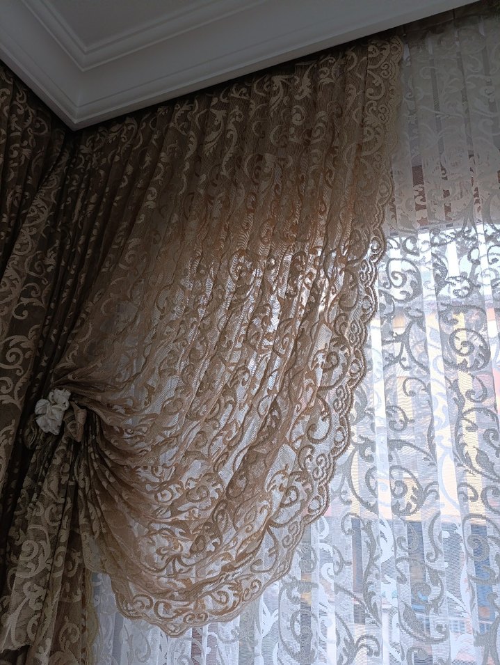 Tül kanat - Görsel 4