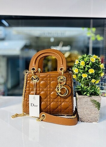 Dior Dior lady mini 