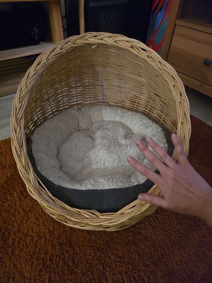 Hasır Kedi Yatağı, Gri Yumuşak Minderli - Görsel 2