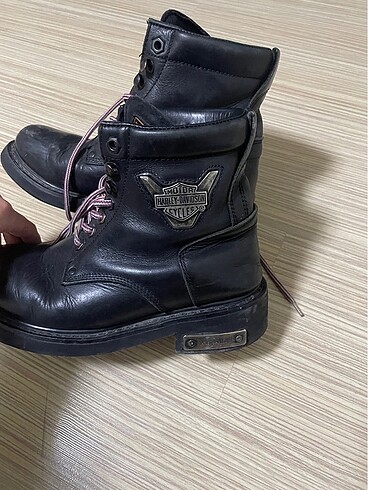 38 Beden Harley bot