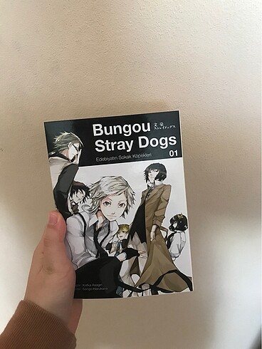 Bungou stray dogs 1