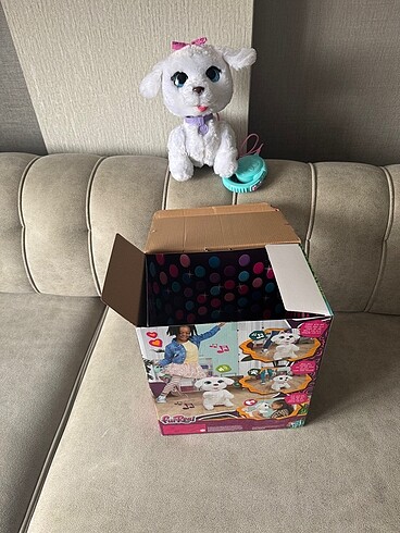 Fur lear konuşan köpek