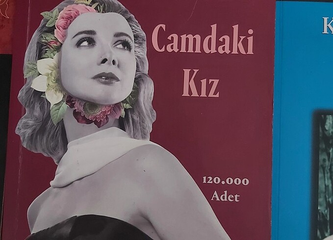 Kitap roman