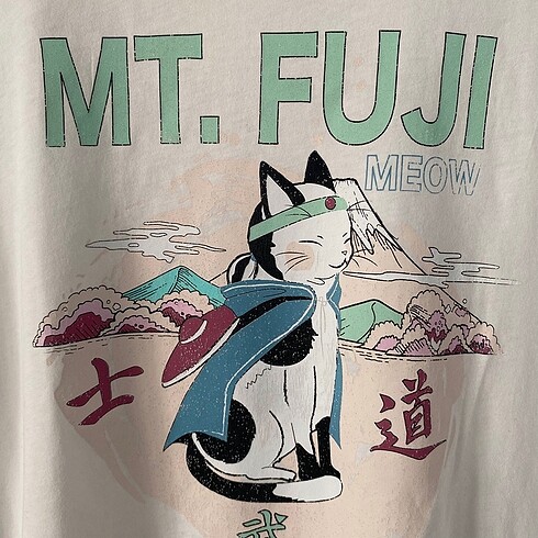 American Vintage mt. fuji tişört