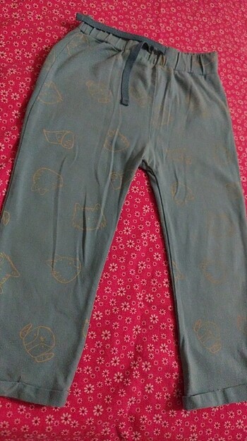 LCW 18-24 ay